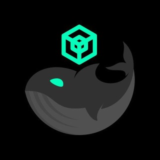 Telegram profile photo for Koinos Whale Tracker ππΈ