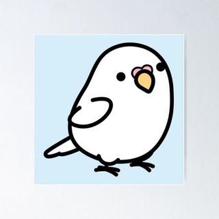 Telegram profile photo for LOLO The Hawk - Ann