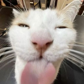 Telegram profile photo for 🍁Винний погріб крінжі🍁