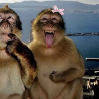 Telegram profile photo for жесткий чбчг.