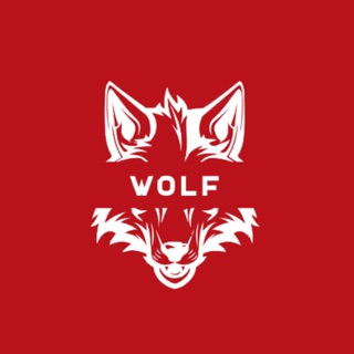 Telegram profile photo for Wolf of Trading®