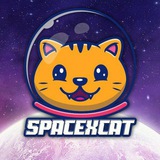 Telegram profile photo for SpaceXCat Official Channel