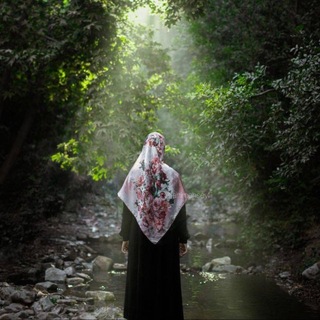 Telegram profile photo for سیفی نویس