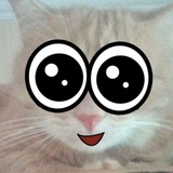 Telegram profile photo for .