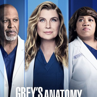 Telegram profile photo for GREYS ANATOMY SEASON 1 - 22 SERIES