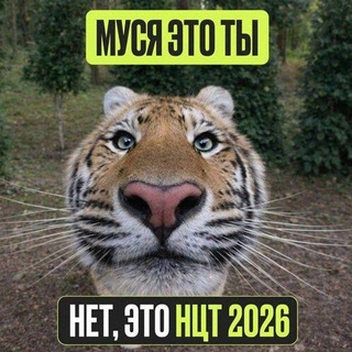 Telegram profile photo for НЦТ / ГОСЫ 2026 Кыргызстан