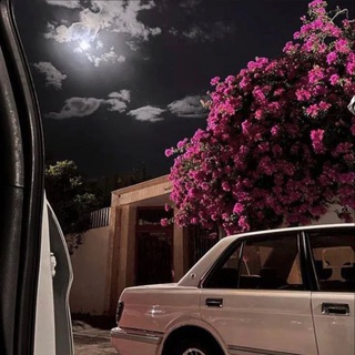 Telegram profile photo for مُخـتلُفَة🕯️.