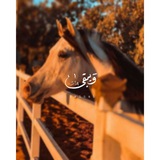 Telegram profile photo for «سنرَحل ويبّقىٰ الأثـرَ»