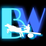 Telegram profile photo for Bogiwala
