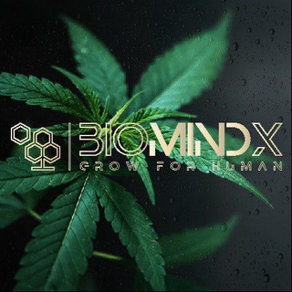 Telegram profile photo for BioMindX