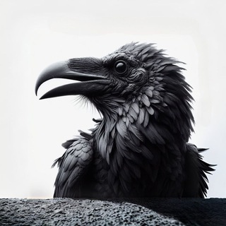 Telegram profile photo for RAVEN
