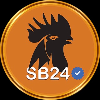 Telegram profile photo for SB24 V168