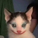 Telegram profile photo for Цирк 🤡