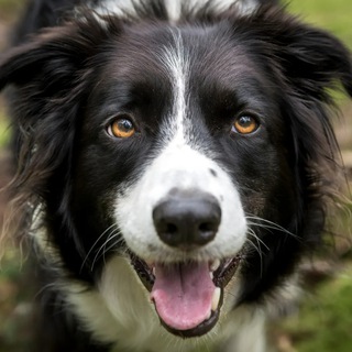 Telegram profile photo for WinsletShop