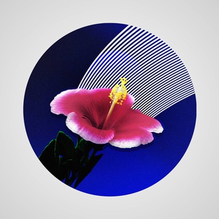 Telegram profile photo for VAPORWAVE DREAMS イ タ リ ア の 領 土 で