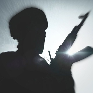 Telegram profile photo for Sage Warrior