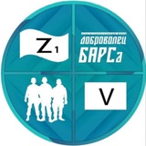 Telegram profile photo for Благотворит. фонд «ДоброVолец БАРСа»