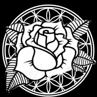 Telegram profile photo for La rosa blanca España