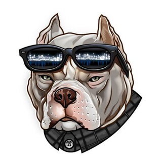 Telegram profile photo for 👾Dawg Calls👾