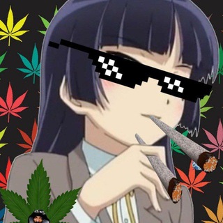 Telegram profile photo for IbePosting