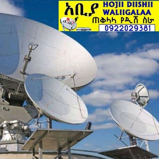 Telegram profile photo for best dish information📡