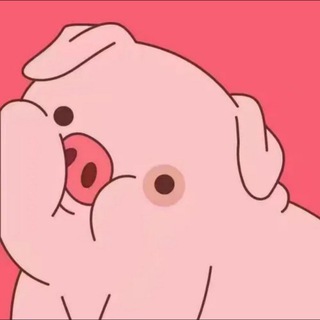 Telegram profile photo for Domino通知频道