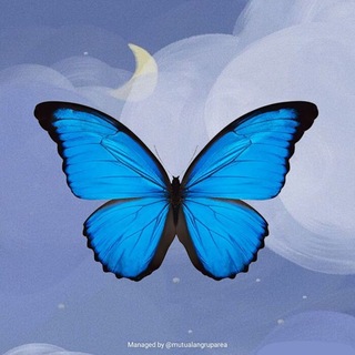 Telegram profile photo for Cari Teman Online
