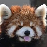 Telegram profile photo for Нововоронежская ядерная электростанция