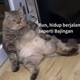 Telegram profile photo for kip