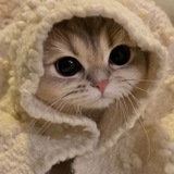 Telegram profile photo for Стикеры ТГ