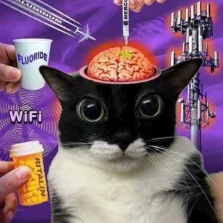 Telegram profile photo for (а)Соціальний простір