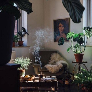 Telegram profile photo for Mid-century interior