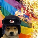Telegram profile photo for $nopride portal