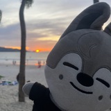 Telegram profile photo for Dance Ru Room