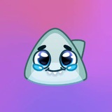 Telegram profile photo for 808