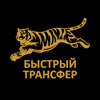 Telegram profile photo for Быстрый Трансфер