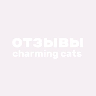 Telegram profile photo for charming cats | отзывы