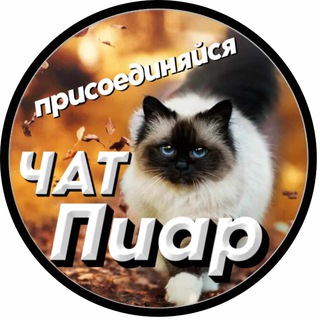 Telegram group profile photo for 🔺ПИАР TOP-100🔺
