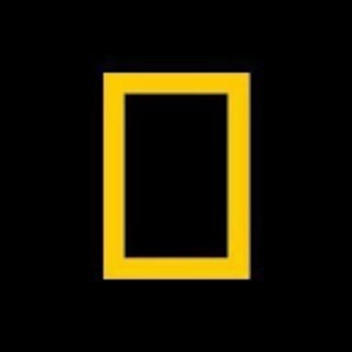 Telegram profile photo for 國家地理 National Geographic TW