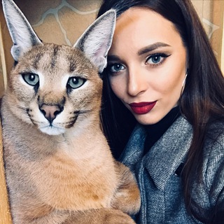 Telegram profile photo for Sauvage. Территория Кошек
