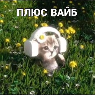 Telegram profile photo for Шуметь запрещено