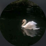 Telegram profile photo for على خُطى النور