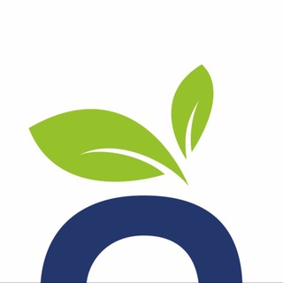 Telegram profile photo for Lotta | Чистота и уют дома 🌱