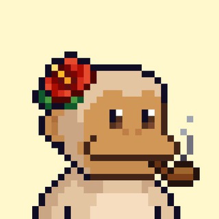 Telegram profile photo for Rugs play