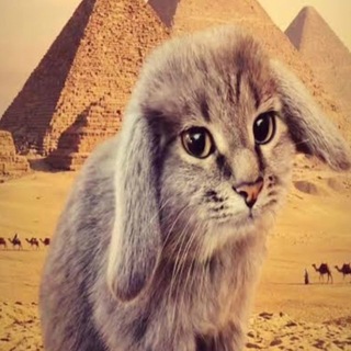 Telegram profile photo for Fantastic world of NFT