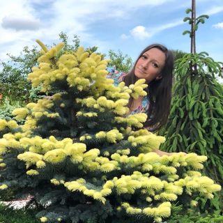 Telegram profile photo for Юлин сад