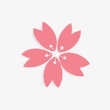 Telegram profile photo for 樱花科技