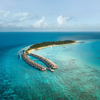 Telegram profile photo for Sirru Fen Fushi - Private Resort Lagoon