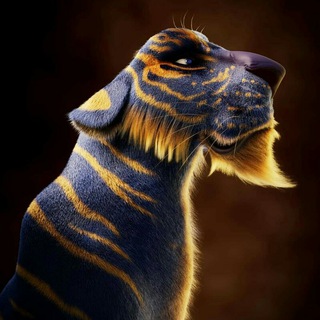 Telegram profile photo for 3D Animation