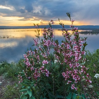 Telegram profile photo for Исторические экскурсии. Самарский край